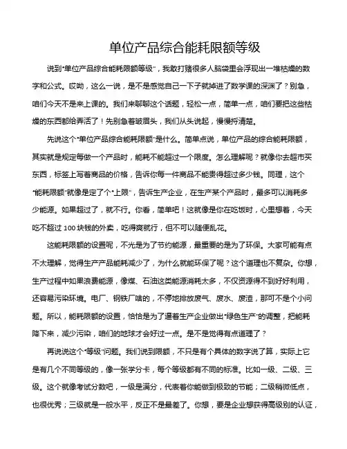 单位产品综合能耗限额等级