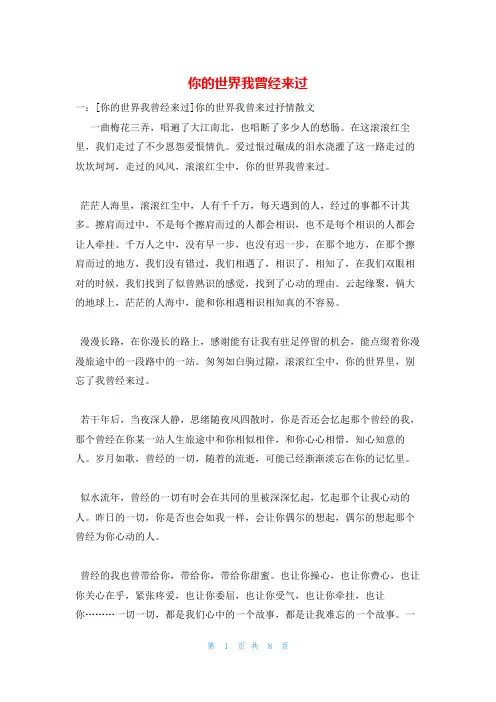 你的世界我曾经来过