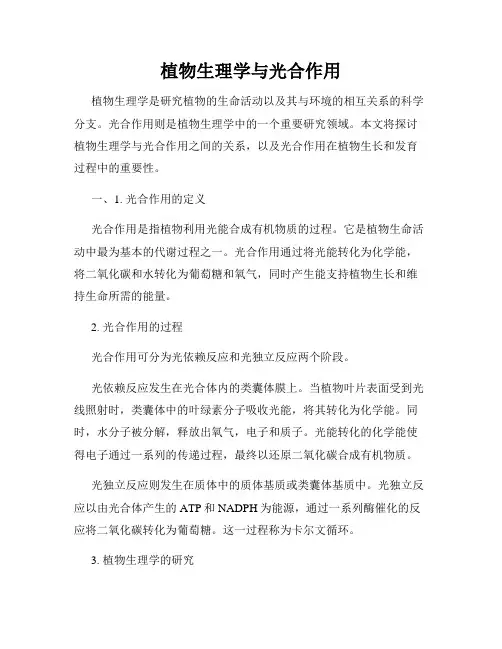 植物生理学与光合作用