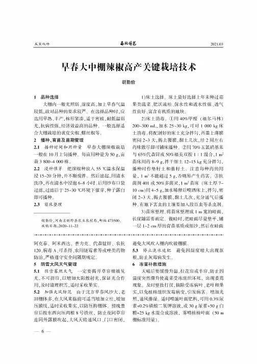 早春大中棚辣椒高产关键栽培技术