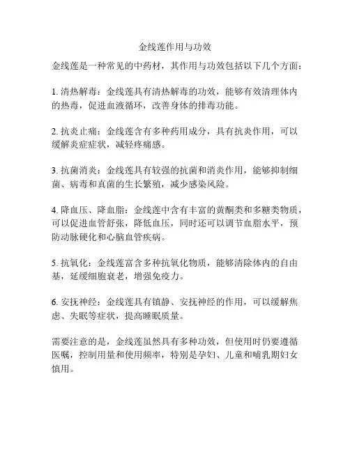金线莲作用与功效