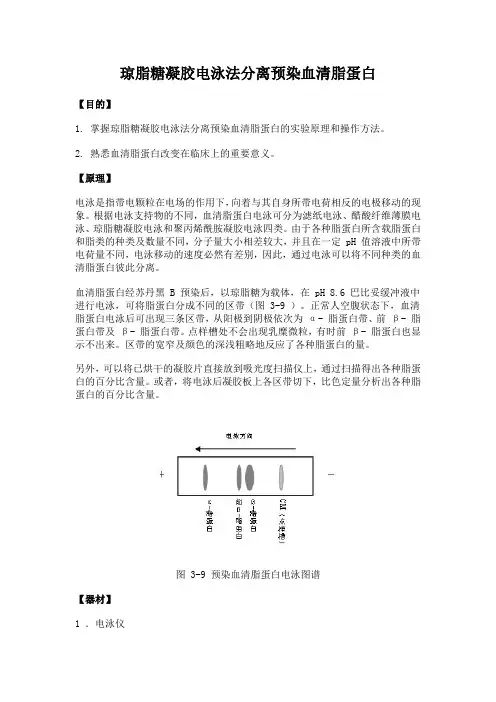 21 生物化学实验--琼脂糖凝胶电泳法分离预染血清脂蛋白