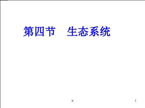 七年级生物上册 第一单元第二章第四节生态系统教学课件 人教新课标版