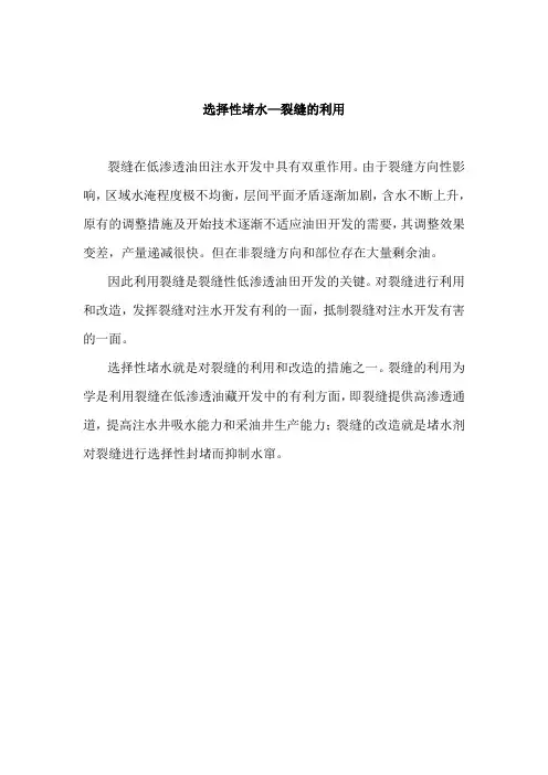 选择性堵水