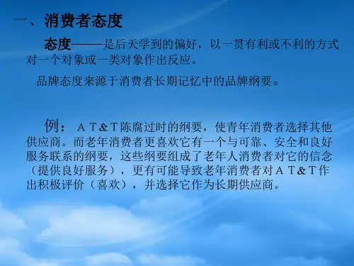 消费者行为的个体态度分析