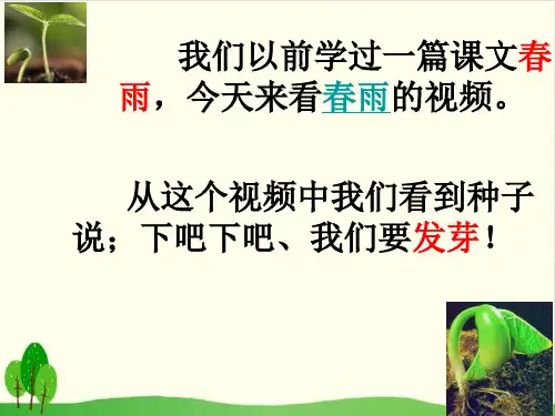 小学四年级下册 - 种子的萌发教科版 ppt(15张)