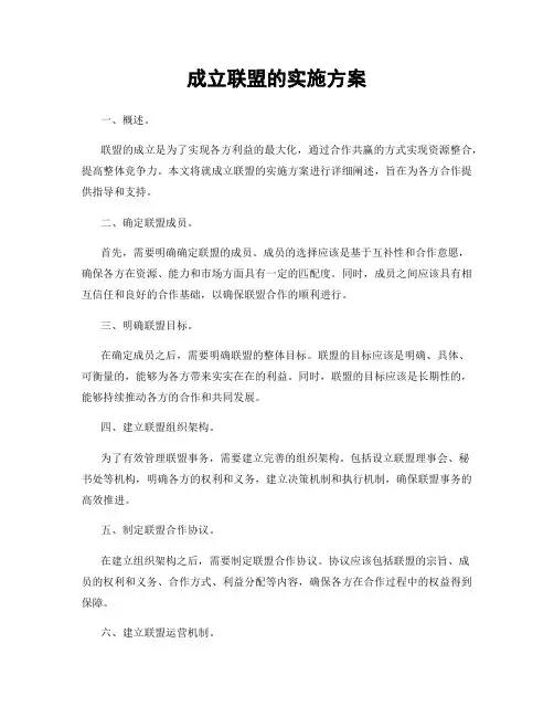 成立联盟的实施方案
