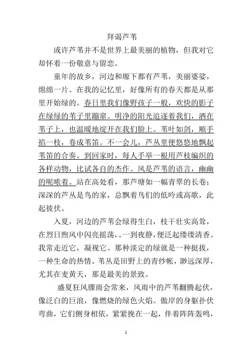 《拜谒芦苇》阅读训练