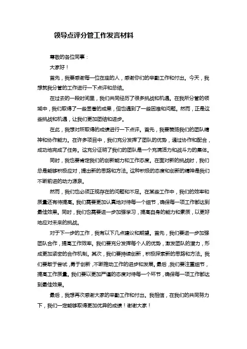 领导点评分管工作发言材料