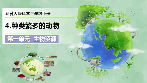 新冀人版科学三年级下册第一单元 生物资源《种类繁多的动物》优质课件