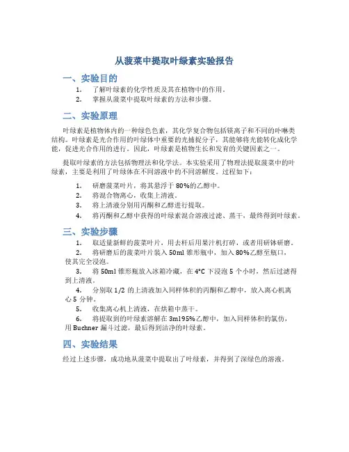 从菠菜中提取叶绿素实验报告