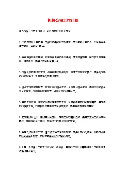 担保公司工作计划 (2)