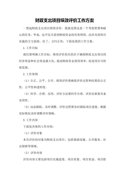 财政支出项目绩效评价工作方案