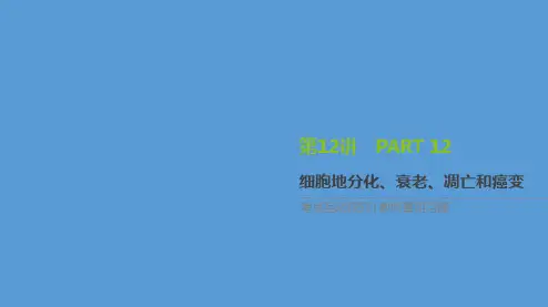 人教版高一生物必修1：细胞的分化、衰老、凋亡和癌变