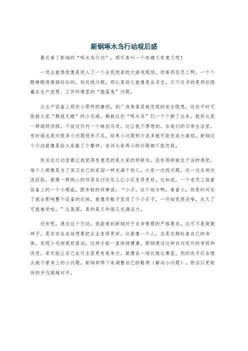 新钢琢木鸟行动观后感