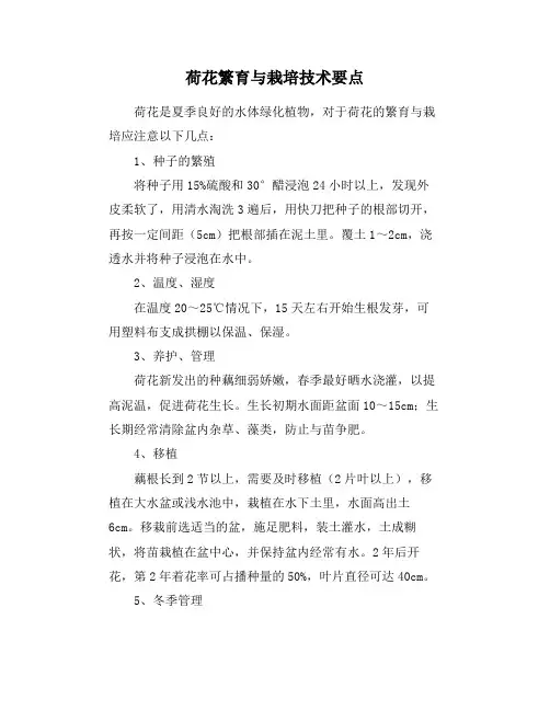 荷花繁育与栽培技术要点