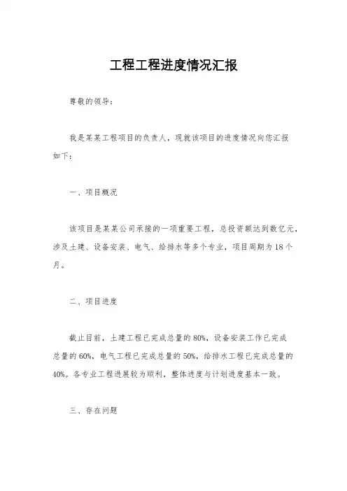 工程工程进度情况汇报