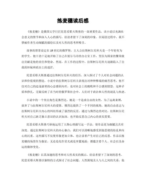 拣麦穗读后感