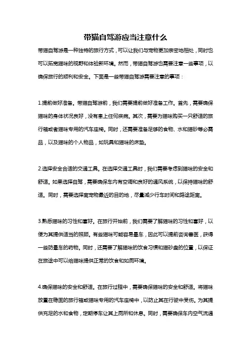 带猫自驾游应当注意什么