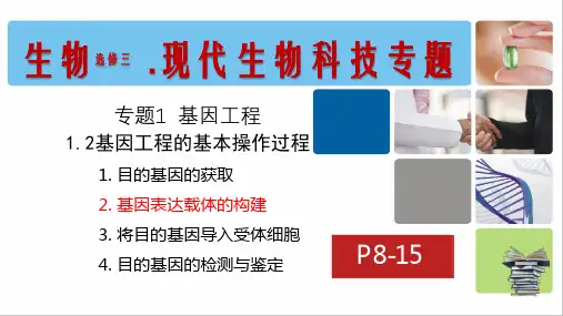 人教版高中生物选修3课件：基因工程的基本操作程序11PPTPPT下载