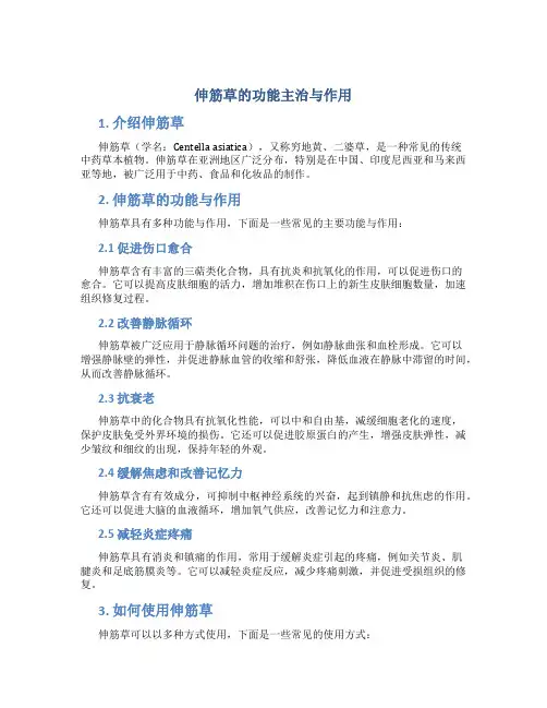 伸筋草的功能主治与作用