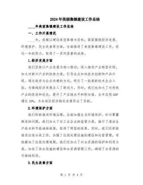 2024年美丽集镇建设工作总结