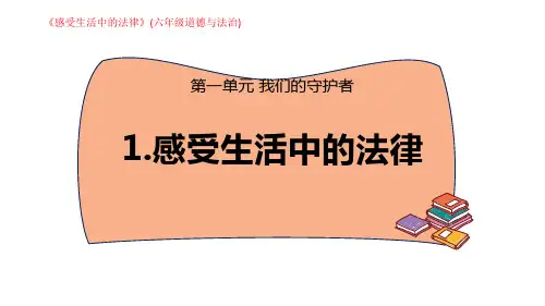 感受生活中的法律(六年级道德与法治)