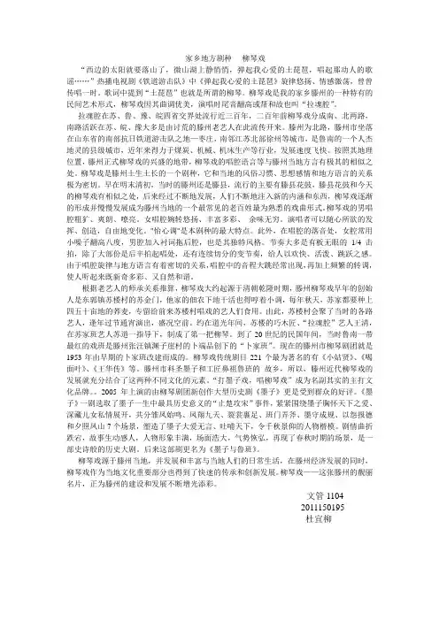 家乡地方剧种 2