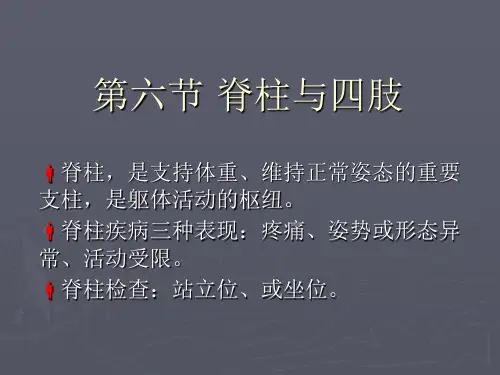 第六节、第七节脊柱四肢、神经反射13