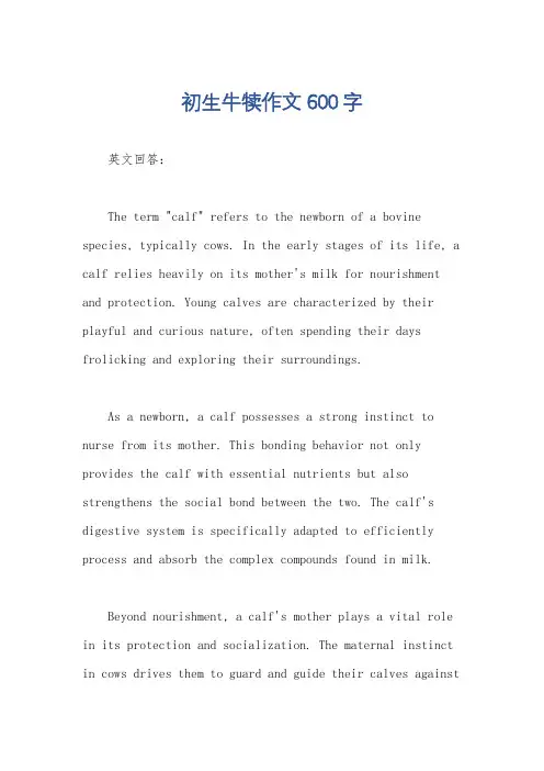 初生牛犊作文600字