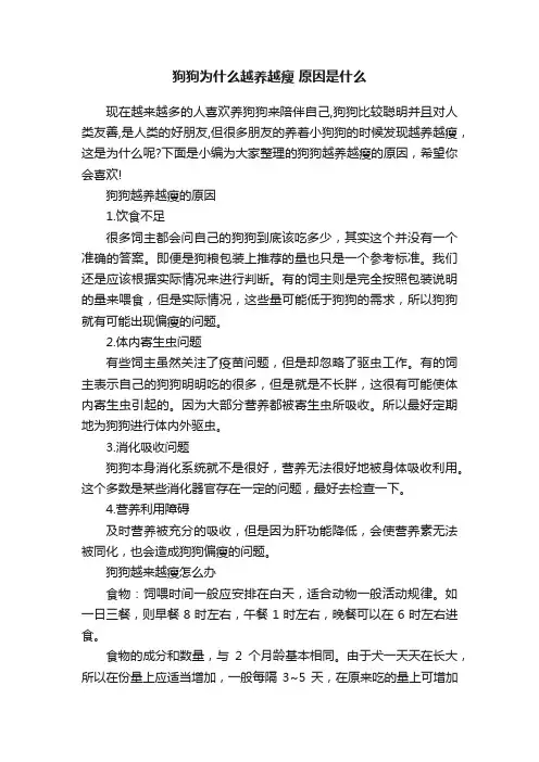 狗狗为什么越养越瘦原因是什么