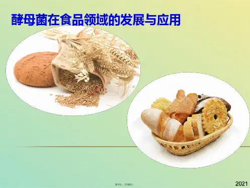 酵母菌在食品领域的发展与应用(共16张PPT)
