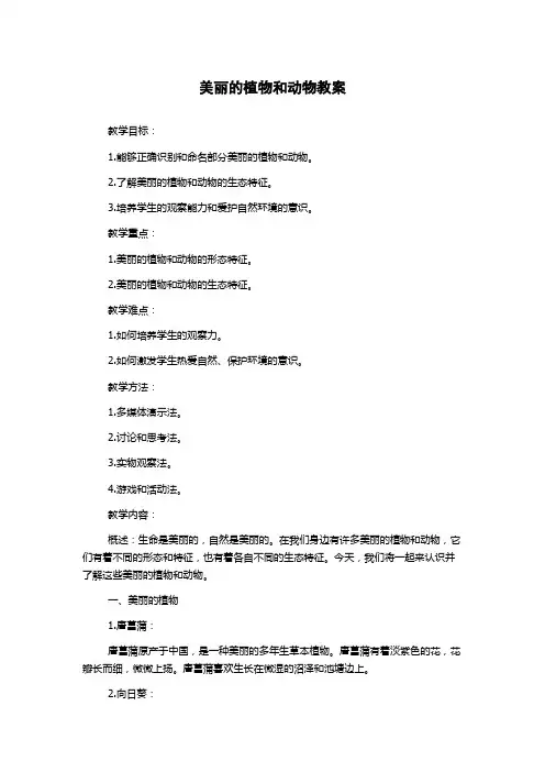 美丽的植物和动物教案