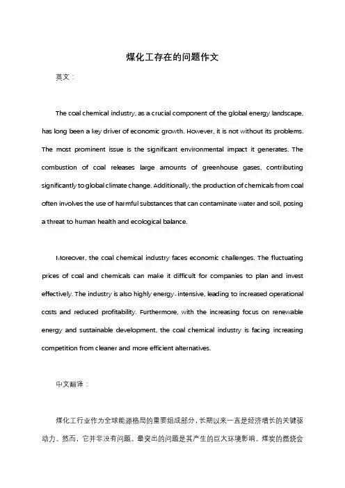 煤化工存在的问题作文