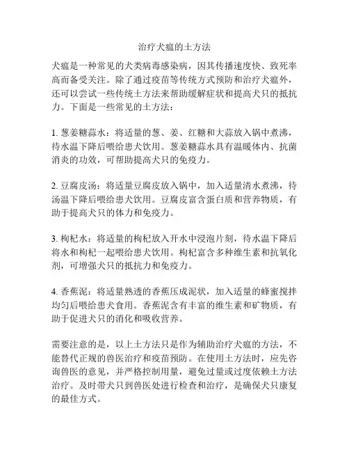 治疗犬瘟的土方法