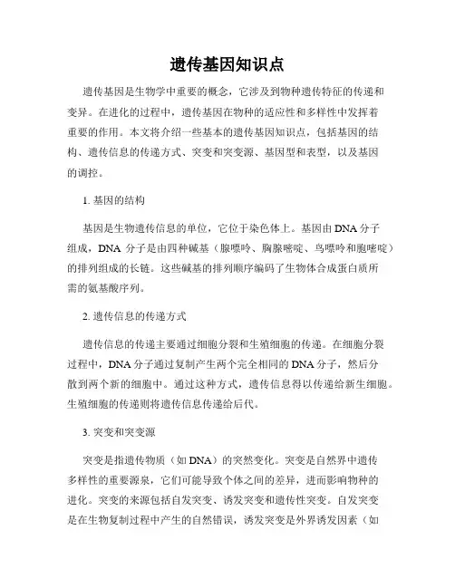 遗传基因知识点