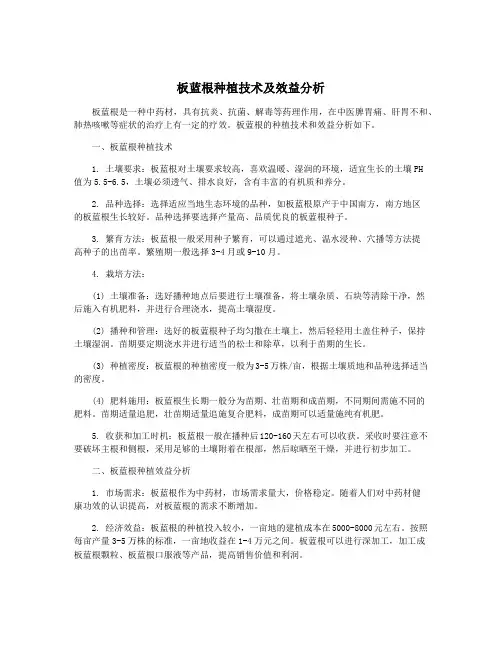 板蓝根种植技术及效益分析