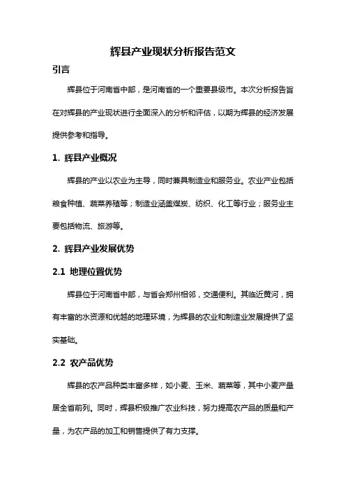 辉县产业现状分析报告范文