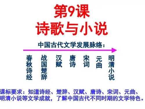 岳麓版高中历史必修三第9课诗歌与小说课件(共34张PPT)