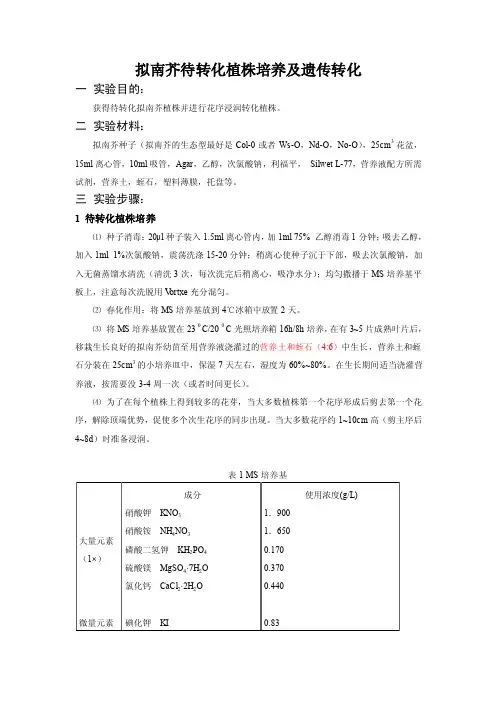 拟南芥培养及遗传转化