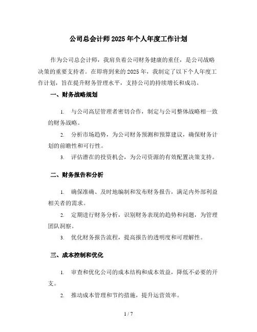 公司总会计师2025年个人年度工作计划