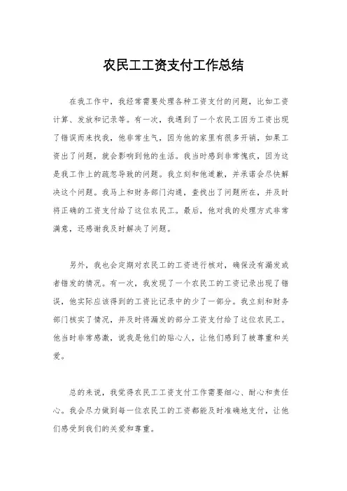 农民工工资支付工作总结