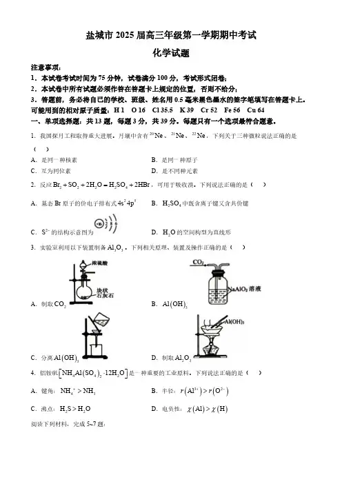 江苏省盐城市2024-2025学年高三上学期11月期中考试 化学(含答案)