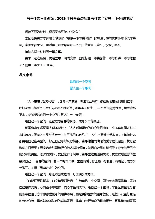高三作文写作训练：2023年高考新课标II卷作文“安静一下不被打扰”