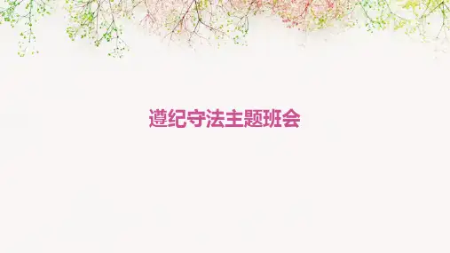 遵纪守法主题班会(共35张)