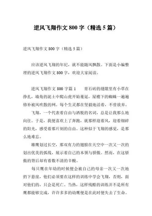 逆风飞翔作文800字(精选5篇)