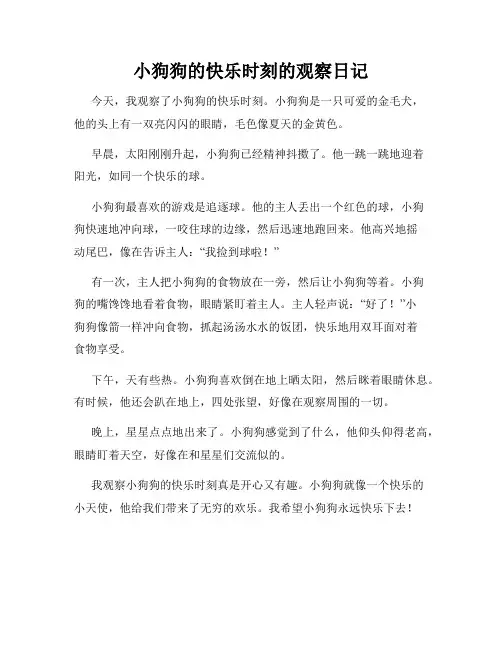 小学三年级作文小狗狗的快乐时刻的观察日记