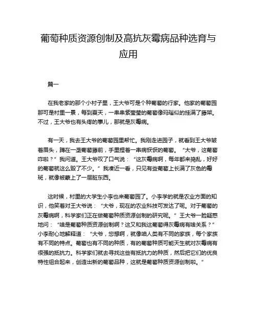 葡萄种质资源创制及高抗灰霉病品种选育与应用