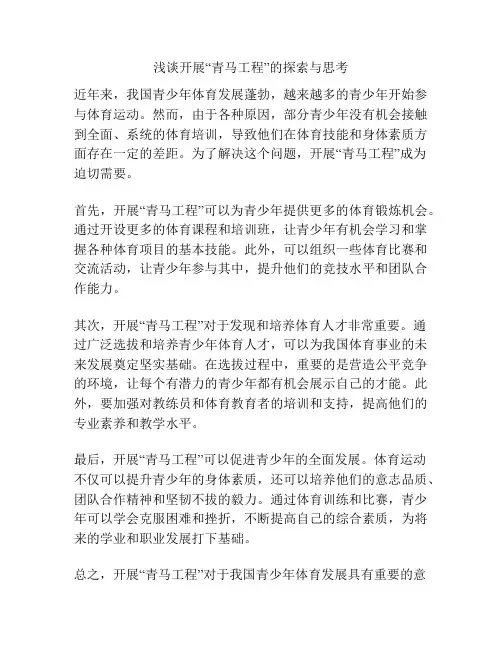 浅谈开展“青马工程”的探索与思考