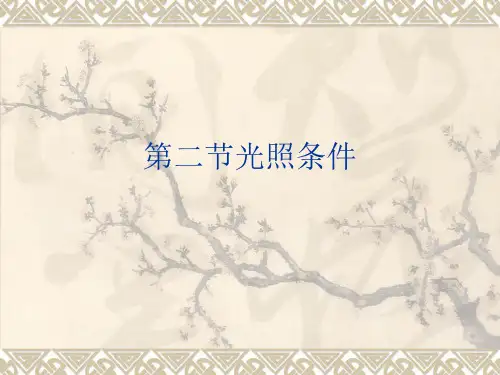 第三章第二节光照条件